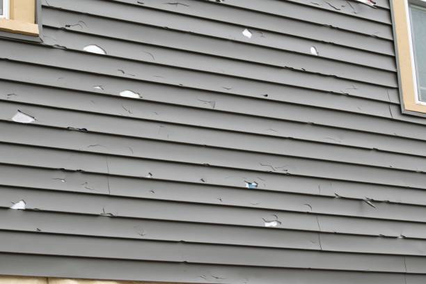 Baudette, MN Siding Installation Company